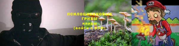 прущая мука Арсеньев