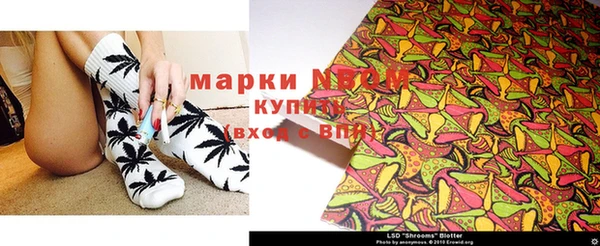 прущая мука Арсеньев