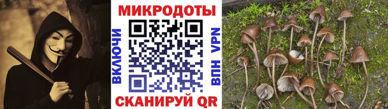 kraken ONION  Стрежевой  Псилоцибиновые грибы Magic Shrooms 